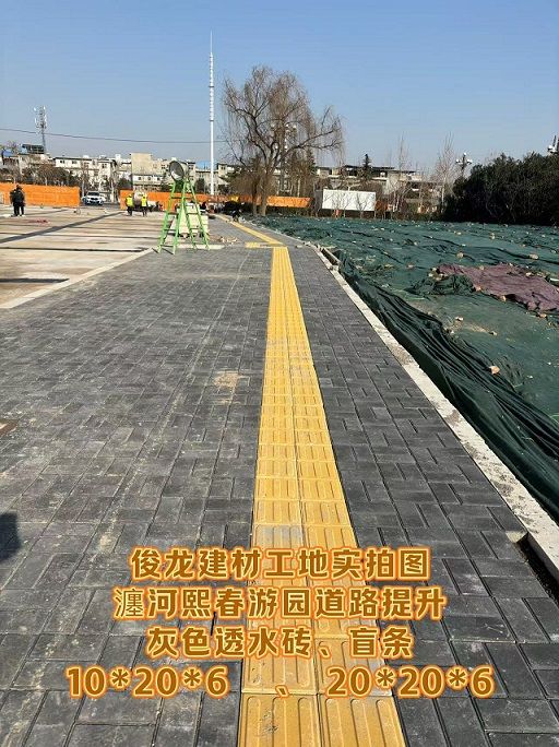 瀍河熙春游園道路提升 （灰色透水磚、盲條）