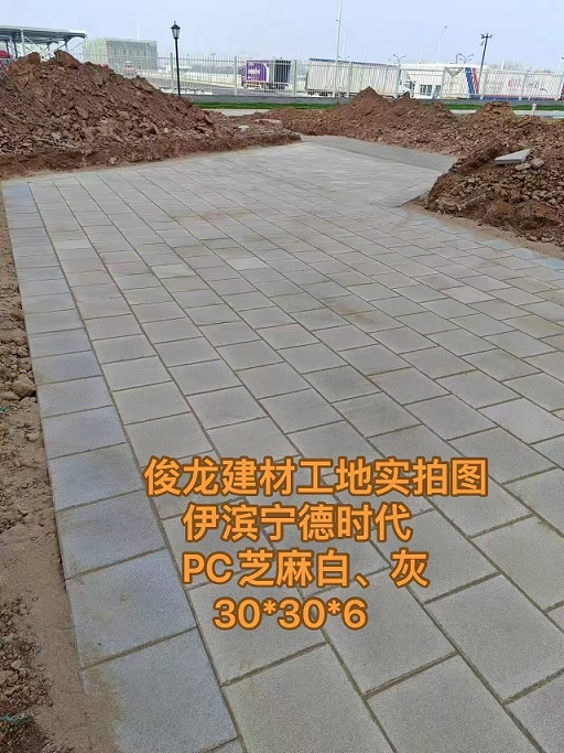 洛陽(yáng)伊濱寧德時(shí)代 PC芝麻白、灰 30*30*6